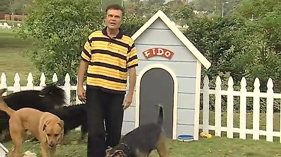 Gone to the Dogs with Fred Willard